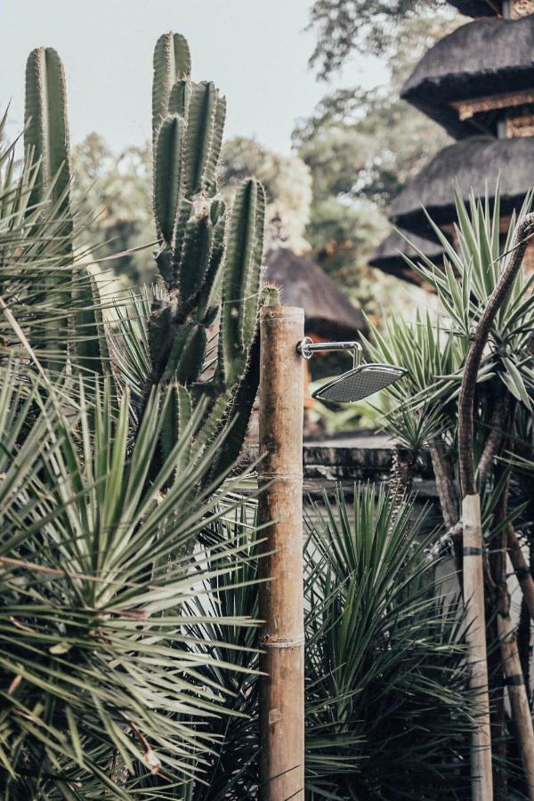 The Seseh House Villa Canggu Екстериор снимка